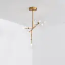 axis5light4.webp