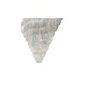 galassia1.webp