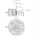 tansley5.webp