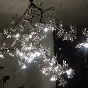 plumblossom2.webp