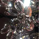 plumblossom5.webp