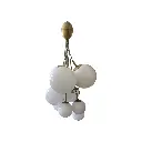 orchard2.webp