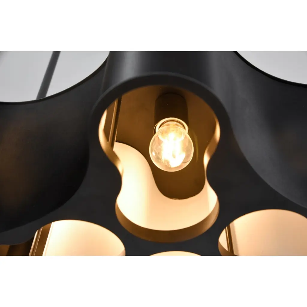 mediumspider4.webp