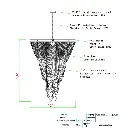 cyanithica5.webp