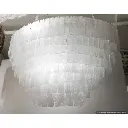 pulegoso3.webp