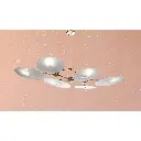 constellation2219(4).webp