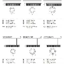 ellie5.webp