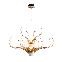 antlershorn1.webp