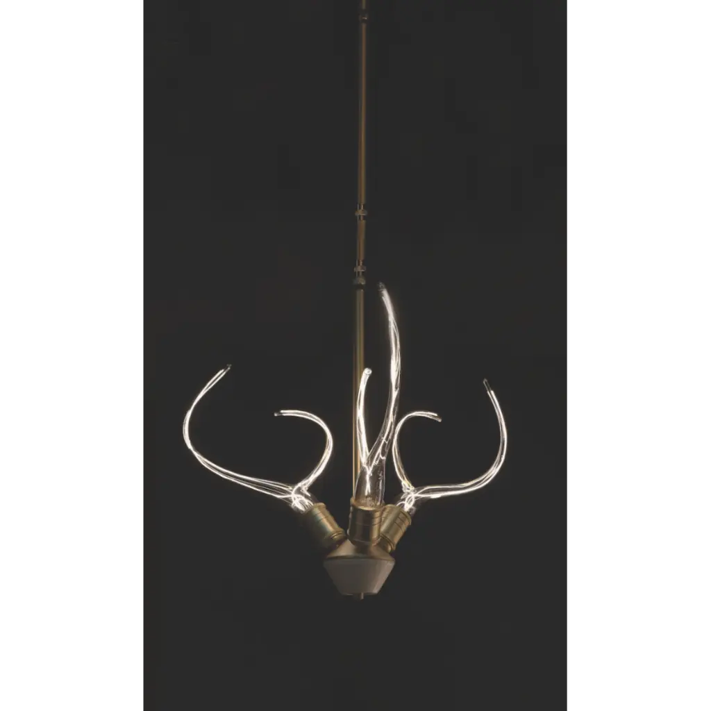 antlershorn3.webp