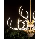 antlershorn4.webp