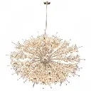 starburst6631(2).webp