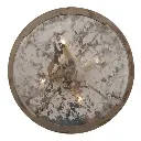 palissyrounded4.webp