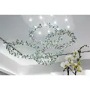 edencrown4.webp