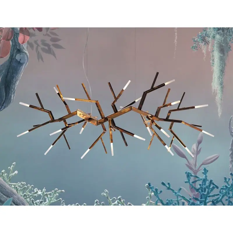 acropora3.webp