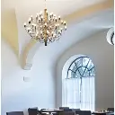 sarfatti2.webp