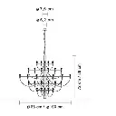 sarfatti3.webp