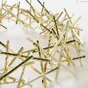 hexcriss3.webp