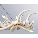 antlerhaloresin3.webp