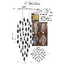 leafpendant5.webp