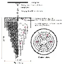 spiral2900(5).webp