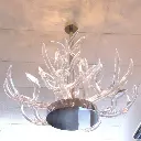 luciteantlers2.webp