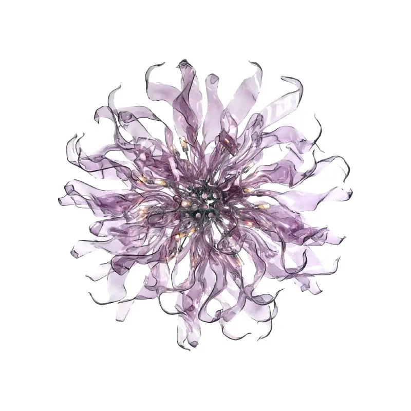 irisapollo1.webp
