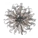 irisapollo3.webp