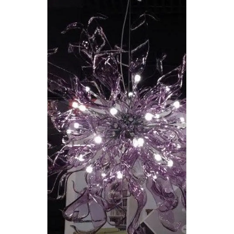 irisapollo4.webp