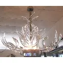 luciteantlers3.webp