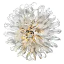 irisapollo5.webp
