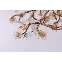 almond4.webp