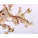 almond5.webp