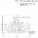 luciteantlers5.webp