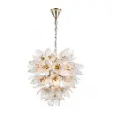 daisy1.webp