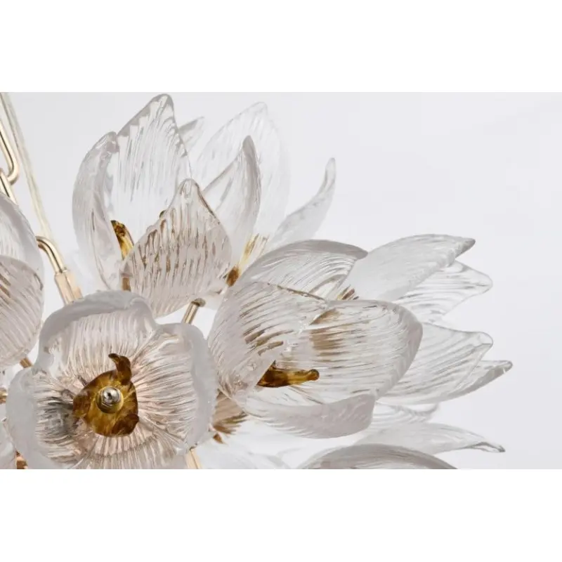 daisy2.webp