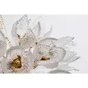 daisy2.webp