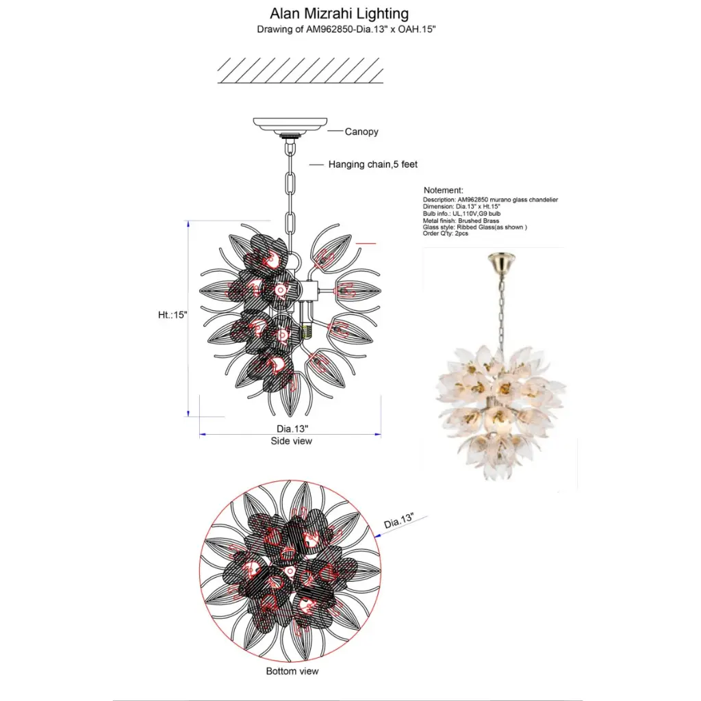 daisy5.webp