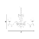 acantia3.webp