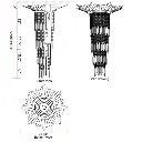 aldelphi5.webp