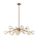 IQ2170 ROSA