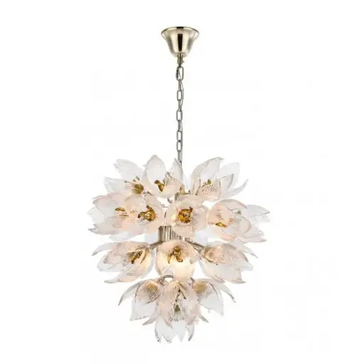 AM962850 DAISY